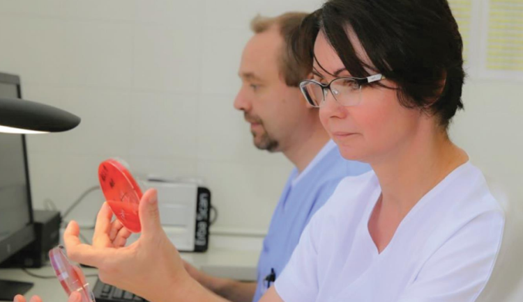 Tajemný svět nejen v Petriho misce. Šumperská mikrobiologická laboratoř připravila speciální výstavu