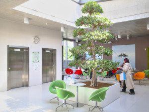 Rakovinu prostaty umí v Praze léčit na světové úrovni