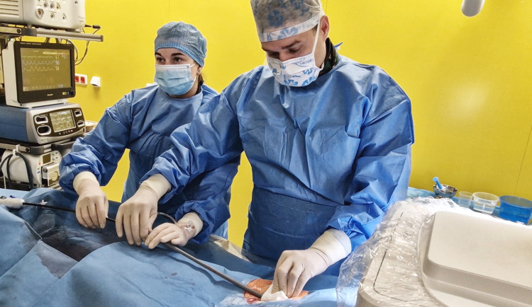 Za dvacet minut je hotovo. Moderní kardiostimulátory šetří čas i práci