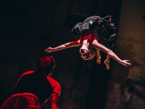 Novocirkusový festival v Olomouci nabídne úchvatná představení v letním kině i akrobacii na bagru