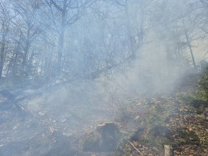 Deset jednotek hasičů zápolilo s lesním požárem na Olomoucku. K ohniskům se museli i slaňovat