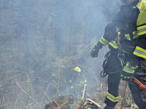 Deset jednotek hasičů zápolilo s lesním požárem na Olomoucku. K ohniskům se museli i slaňovat