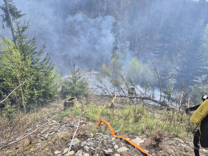 Deset jednotek hasičů zápolilo s lesním požárem na Olomoucku. K ohniskům se museli i slaňovat
