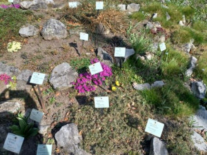 Prostějovská botanická zahrada slaví devadesát let. Akce budou probíhat po celý rok