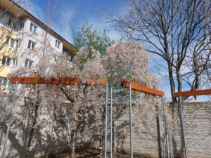 Prostějovská botanická zahrada slaví devadesát let. Akce budou probíhat po celý rok