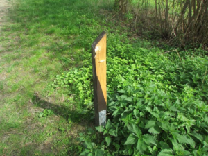 Vandal řádil na stezce zdraví u Horní Libiny, posprejoval cvičební prvky. Napáchal škody za desítky tisíc