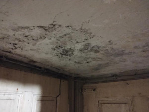 Inspekce zavřela pivnici v Přerově. Soupis nedostatků měl 17 odrážek