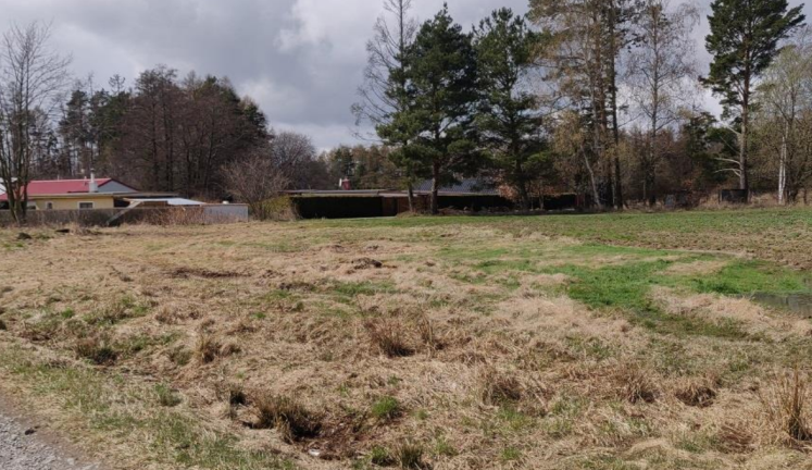 Lokalita mokřadu v Lošově - ilustrační foto