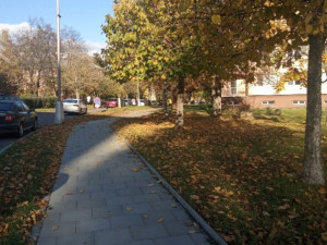 Olomouc upravila systém oprav chodníků, zaměří se na rozsáhlejší rekonstrukce
