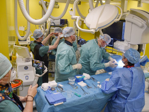 VIDEO: Místo náročných útrap rychlý řez laserem. Kardiologové z Olomouce premiérově provedli unikátní operaci