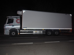 Ve Velkých Losinách se splašil kůň a skočil do cesty kamionu. Veterinářka musela zvíře utratit