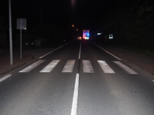 Ve Velkých Losinách se splašil kůň a skočil do cesty kamionu. Veterinářka musela zvíře utratit