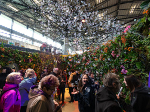 FOTOGALERIE: Vesmírná hlavní expozice i zahradnické trhy. Začala jarní Flora Olomouc