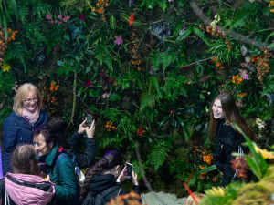 FOTOGALERIE: Vesmírná hlavní expozice i zahradnické trhy. Začala jarní Flora Olomouc