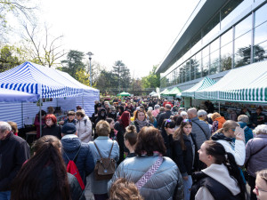 FOTOGALERIE: Vesmírná hlavní expozice i zahradnické trhy. Začala jarní Flora Olomouc