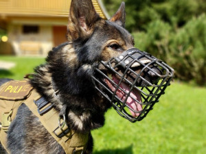 Zahrádkářské a chatařské osady po zimě ožívají. Policisté apelují na správné zabezpečení majetku