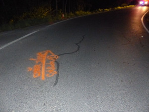 Tragický víkend. U Vidnavy a v Lipníku nad Bečvou zemřeli cyklisté, jeden vyletěl do lesa, druhý spadl na silnici