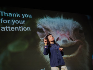 Rekordní Academia Film Olomouc. Akreditovalo se téměř devět tisíc fanoušků vědy a filmu