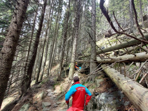 Muž si v Jeseníkách zranil nohu a silně krvácel. K vrtulníku ho záchranáři museli nést těžkým terénem