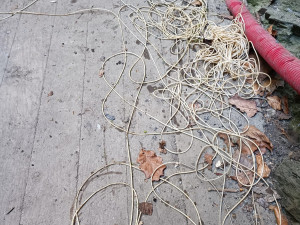 Asi hledal poklad. Jeskyňářům někdo z Hranické propasti vytáhl sto padesát metrů vodícího lana