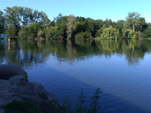 Blíží se léto. Hygienici opět začnou kontrolovat kvalitu vody na Poděbradech a Plumlovské přehradě