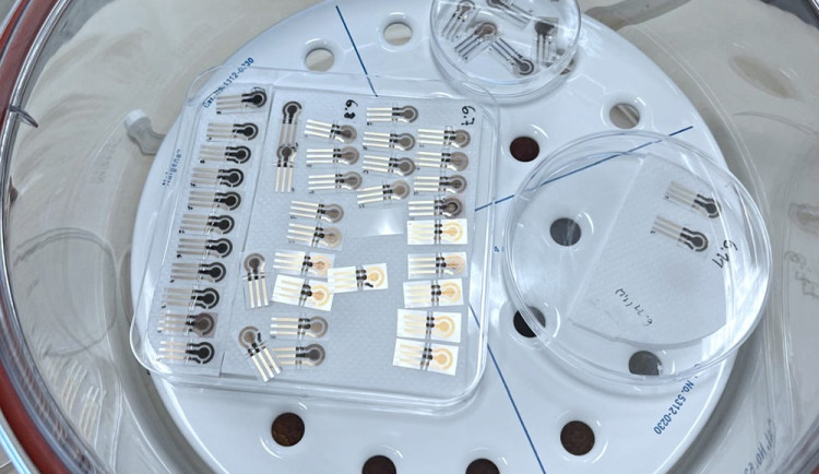 Speciální elektrody umožní zjištění různých chemikálií či mikroorganismů ze vzorku