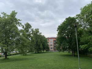 Nechceme garážový dům místo zeleně, zuří lidé z prostějovského sídliště. Petice už má stovky podpisů