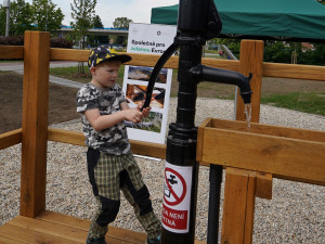 U přerovské knihovny vyrostla nová dešťová zahrada, potěší hlavně děti