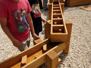 U přerovské knihovny vyrostla nová dešťová zahrada, potěší hlavně děti