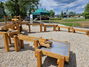 U přerovské knihovny vyrostla nová dešťová zahrada, potěší hlavně děti