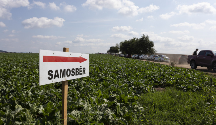 Samosběr ve Vojnicích - ilustrační foto