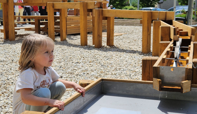 U přerovské knihovny vyrostla nová dešťová zahrada, potěší hlavně děti