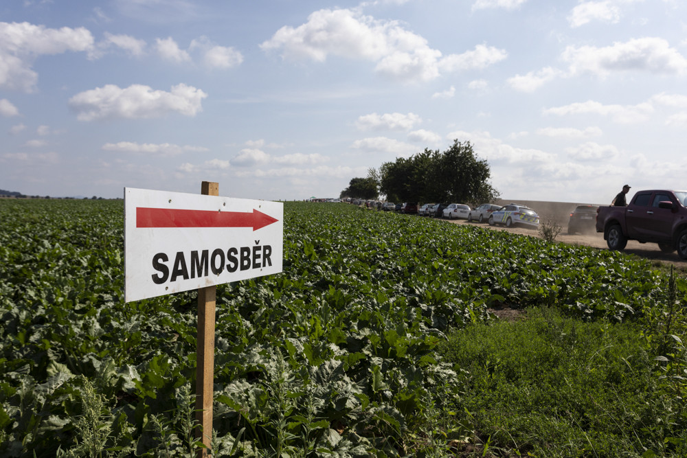 Samosber Zeleniny Olomouc () Samosber Zeleniny Olomouc