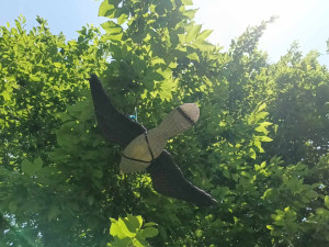 Prostějov bojuje se špačky na hřbitově. Odradit je mají třepetalky na stromech a makety dravců