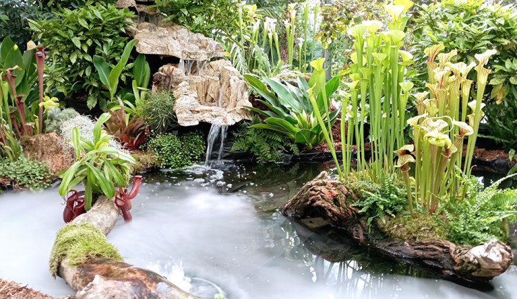 Výstava masožravých rostlin ve sbírkových sklenících v olomouckých Smetanových sadech