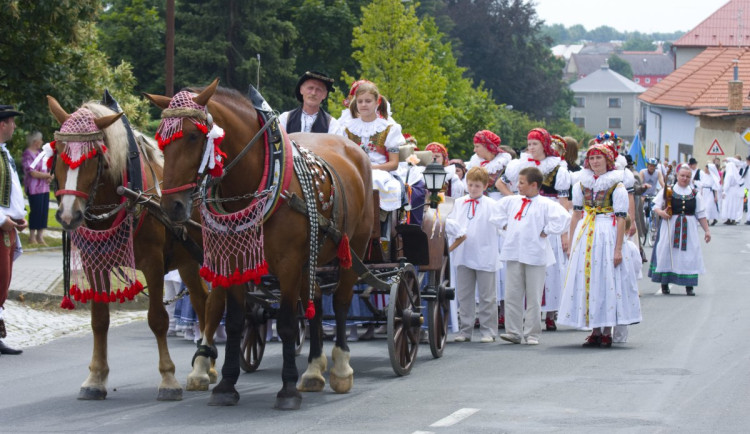 doloplazy-jizda-kralu-m-ark