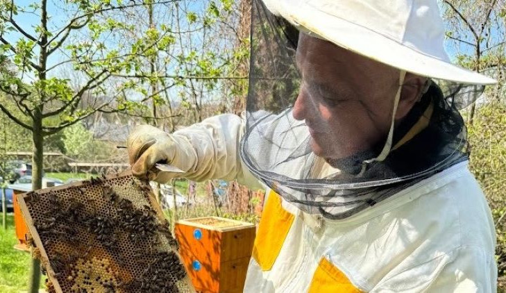 Čechy pod Kosířem mají svůj historicky první zámecký med. Se včelami pomáhá i hejtman