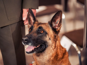 Klášterní Hradisko hostilo předávání Cen města. Ceremoniál by si zasloužil větší sál, míní opozice