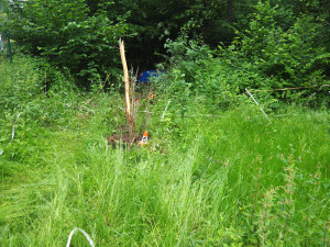 Starší muž usnul v autě a došlo k nehodě