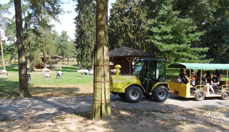 TIP NA VÍKEND: Olomouckou zoologickou zahradu ovládne Den dětí s lesem plným pohádek