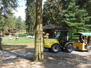 TIP NA VÍKEND: Olomouckou zoologickou zahradu ovládne Den dětí s lesem plným pohádek