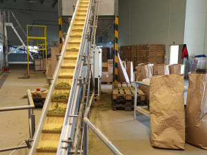 FOTOGALERIE: Kromě jablek má Kofola v Libině i byliny. Pragerovy sady zachránila před vykácením