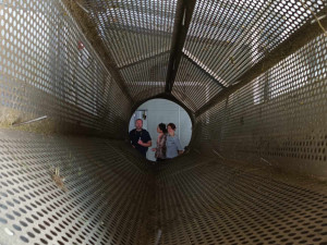 FOTOGALERIE: Kromě jablek má Kofola v Libině i byliny. Pragerovy sady zachránila před vykácením