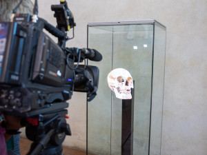 FOTOGALERIE: Pohled do tváře kněžny. Vědci rekonstruovali podobu prvních olomouckých Přemyslovců