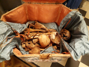 FOTOGALERIE: Pohled do tváře kněžny. Vědci rekonstruovali podobu prvních olomouckých Přemyslovců