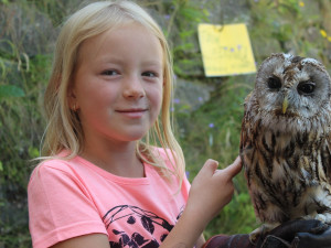 Zažijte dobývání hradu Plumlov