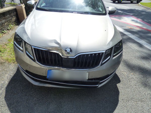 Čivava způsobila nehodu v Písečné. Řidička Octavie strhla řízení, zezadu do ní narazil kamion