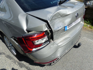 Čivava způsobila nehodu v Písečné. Řidička Octavie strhla řízení, zezadu do ní narazil kamion