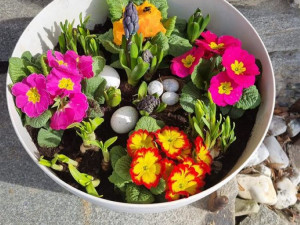 Loučná nad Desnou kvete od jara do podzimu. Obec vsadila na zeleň a dostala Zelenou stuhu