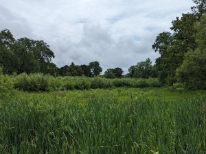 Zámecké rybníky v Čechách pod Kosířem čeká revitalizace. Lidé se zde budou moci projet na lodičkách